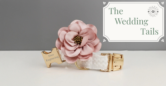 Elegant personalised dog collar for weddings by Snazzy Pooch, featuring free engraving and floral detail.
