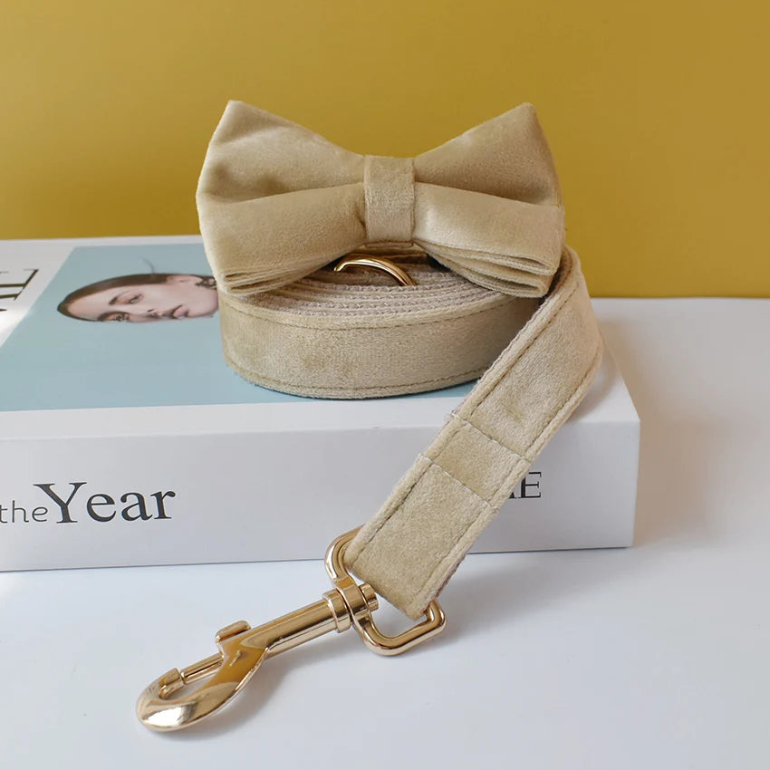 Light Beige Velvet Dog Collar – Personalised with Optional Set
