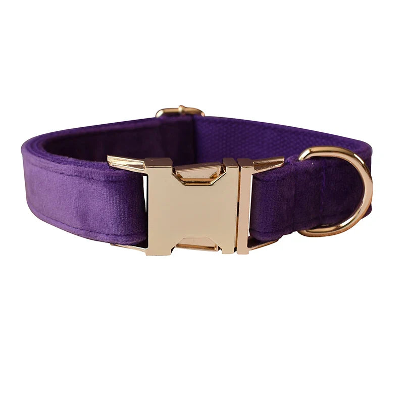 Purple handmade velvet dog collar with gold buckle, customizable design for luxury pet accessories.