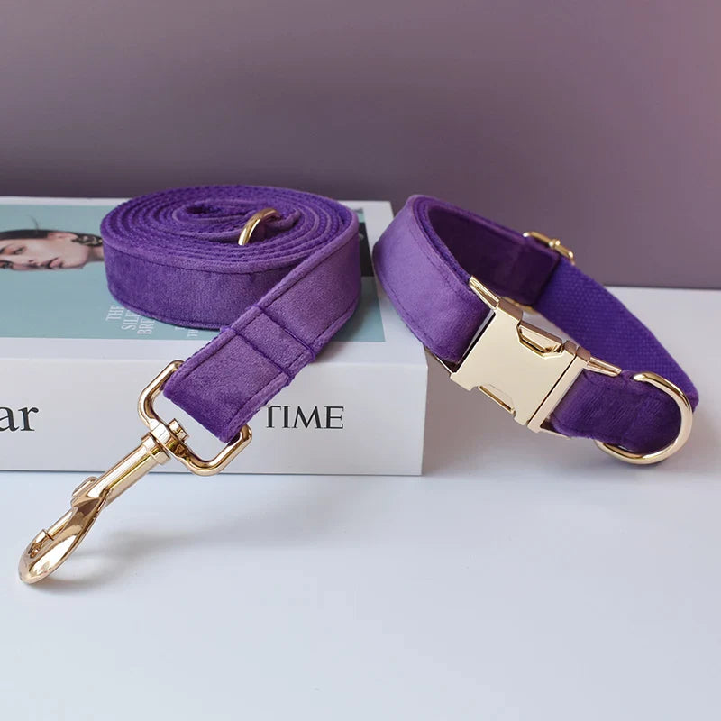 Handmade velvet fabric purple dog collar and lead set with gold hardware on a magazine background.
