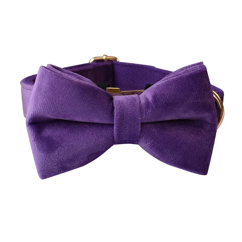 Luxury handmade velvet fabric dog collar in purple with detachable bow tie, designed for personalization and comfort.