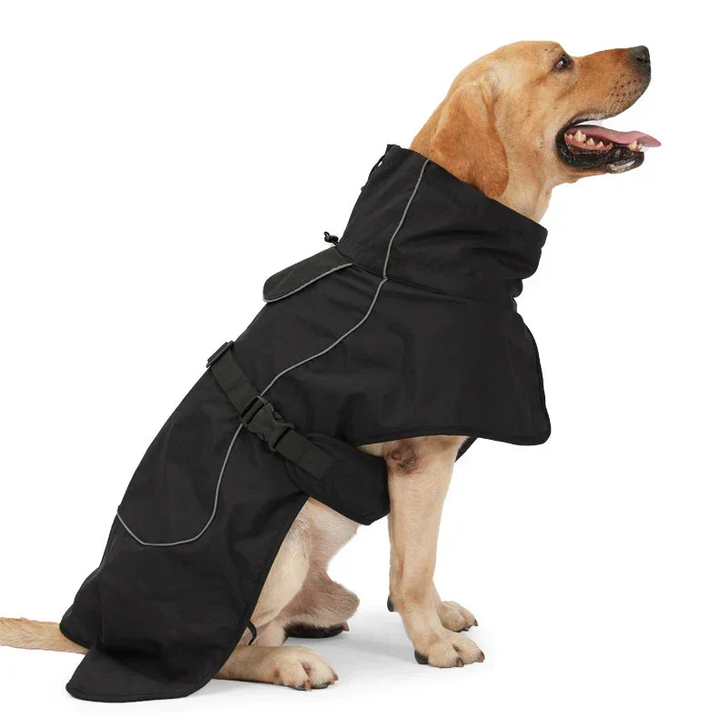 Large breed winter dog coat in black, waterproof and fleece-lined, on a Labrador.