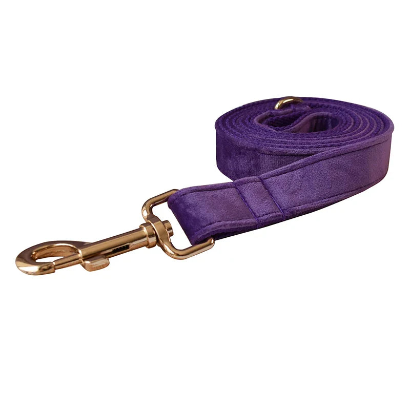 Luxury purple velvet dog collar and leash set, engravable and handmade, featuring gold hardware.
