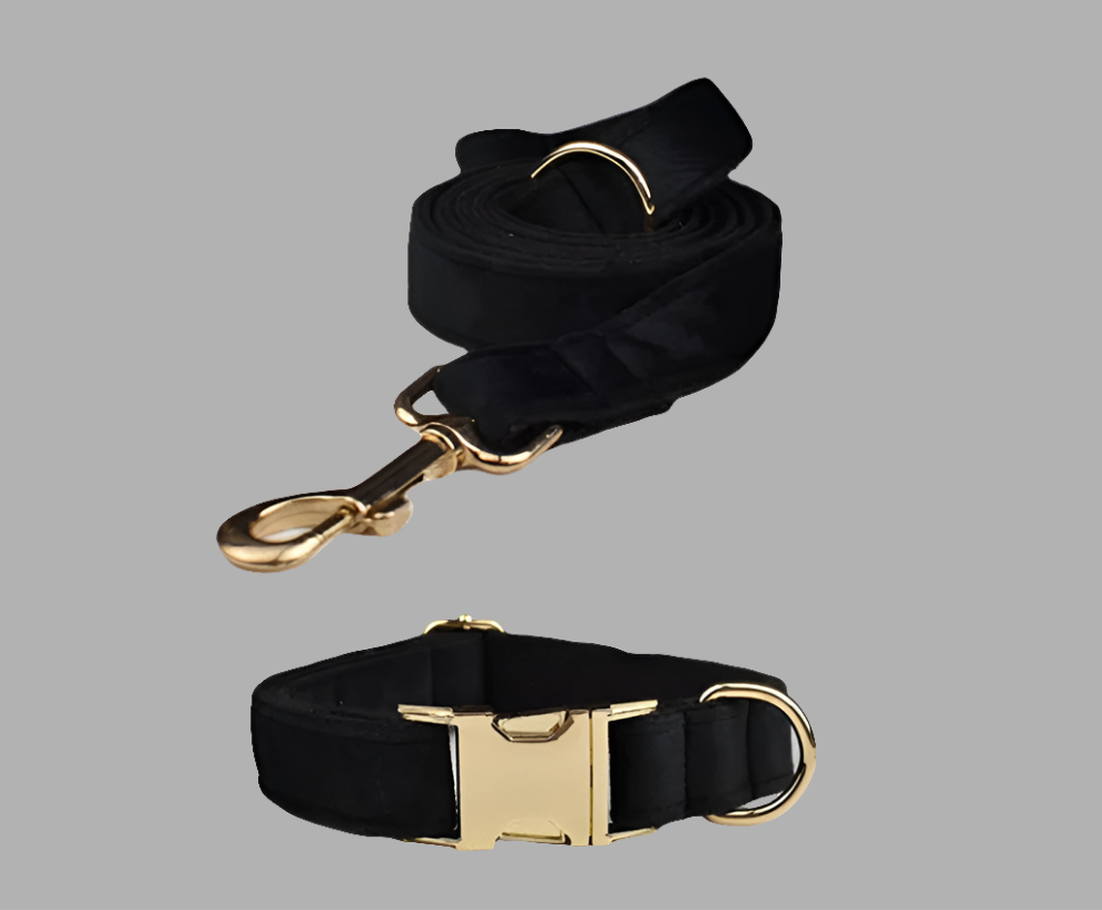 Black velvet dog harness set with gold-tone hardware from the "Wedding Tails" Velvet Fabric Collection.