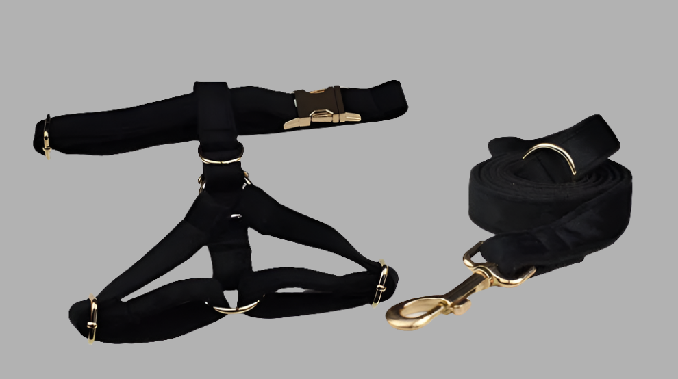 "Wedding Tails" black velvet dog harness set with gold-tone hardware.