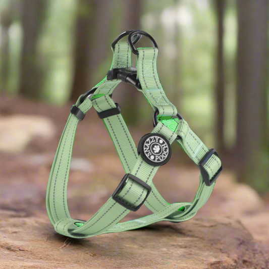 Adjustable step-in dog harness in peppermint green with reflective stitching and ergonomic design for comfort and safety.