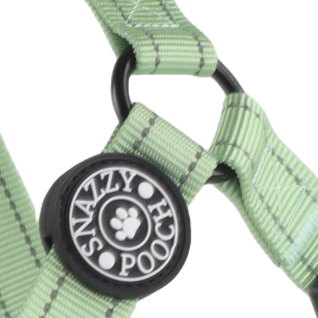 Snazzy Pooch peppermint adjustable step-in harness with reflective stitching and durable design.