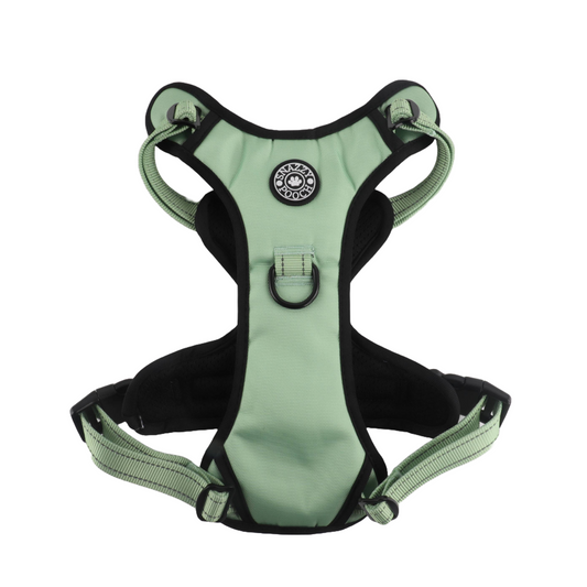 Snazzy Pooch Peppermint no-pull dog harness in calming green with reflective trims and durable, breathable fabric.