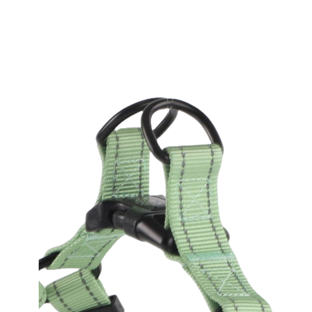 Adjustable step-in dog harness in peppermint green with double loop clasp and reflective stitching for safety.