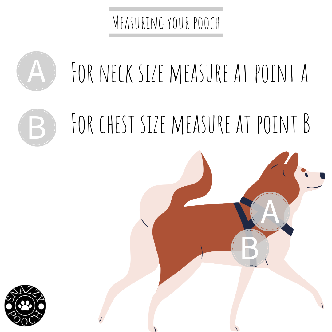 Snazzy Pooch Peppermint dog harness sizing guide with measurement points for neck and chest.