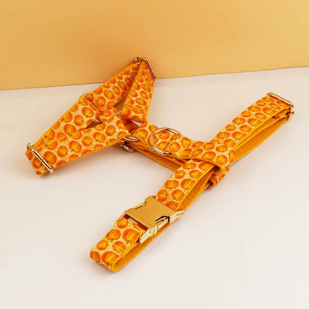 Pumpkin Patch Dog Collar & Harness Set – Premium Engraved 4-Piece Bundle or Individual Options (XS–XL)