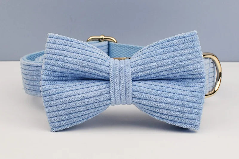 Light blue bow tie on a white background