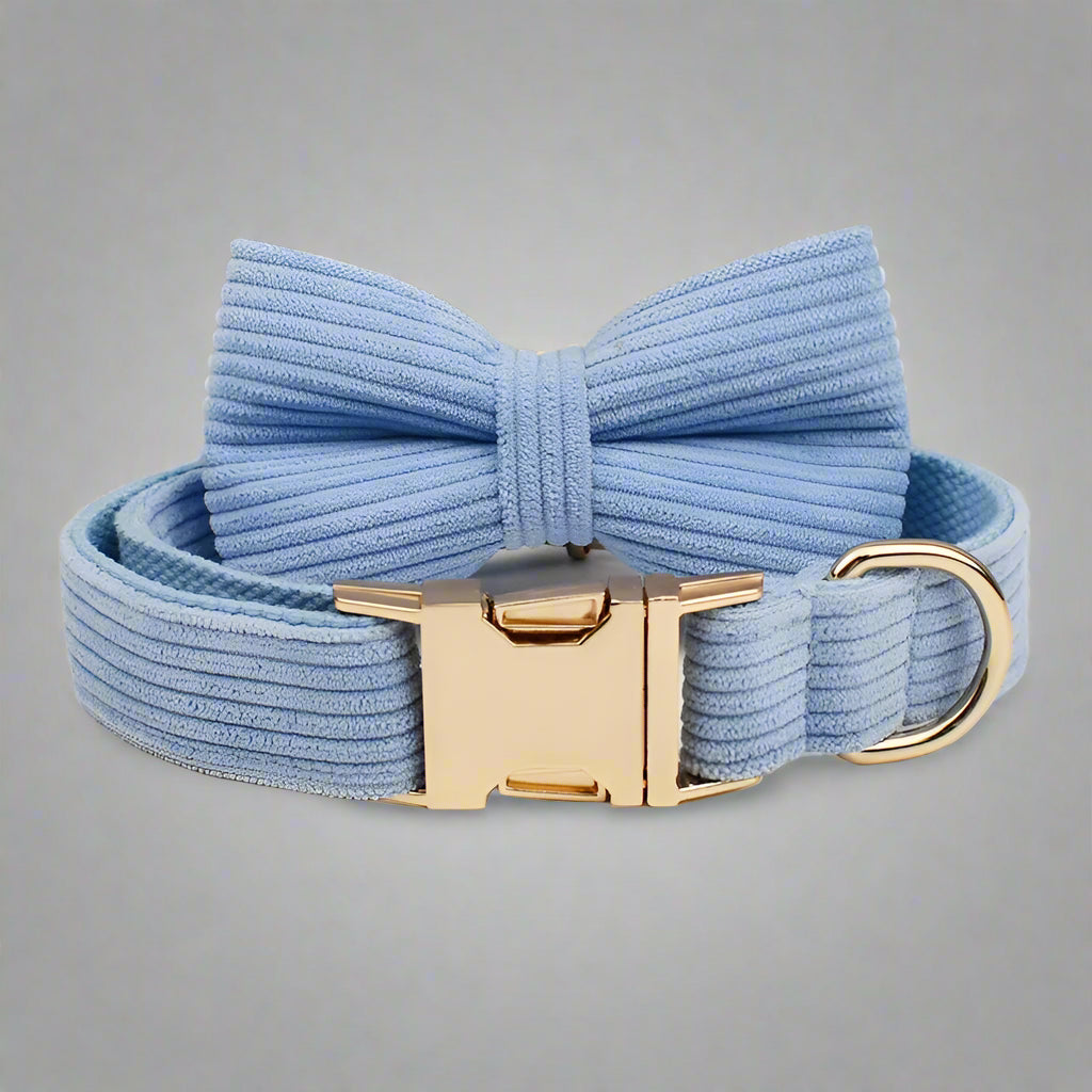 Blue dog collar with a large bow and gold clasp on a light gray background