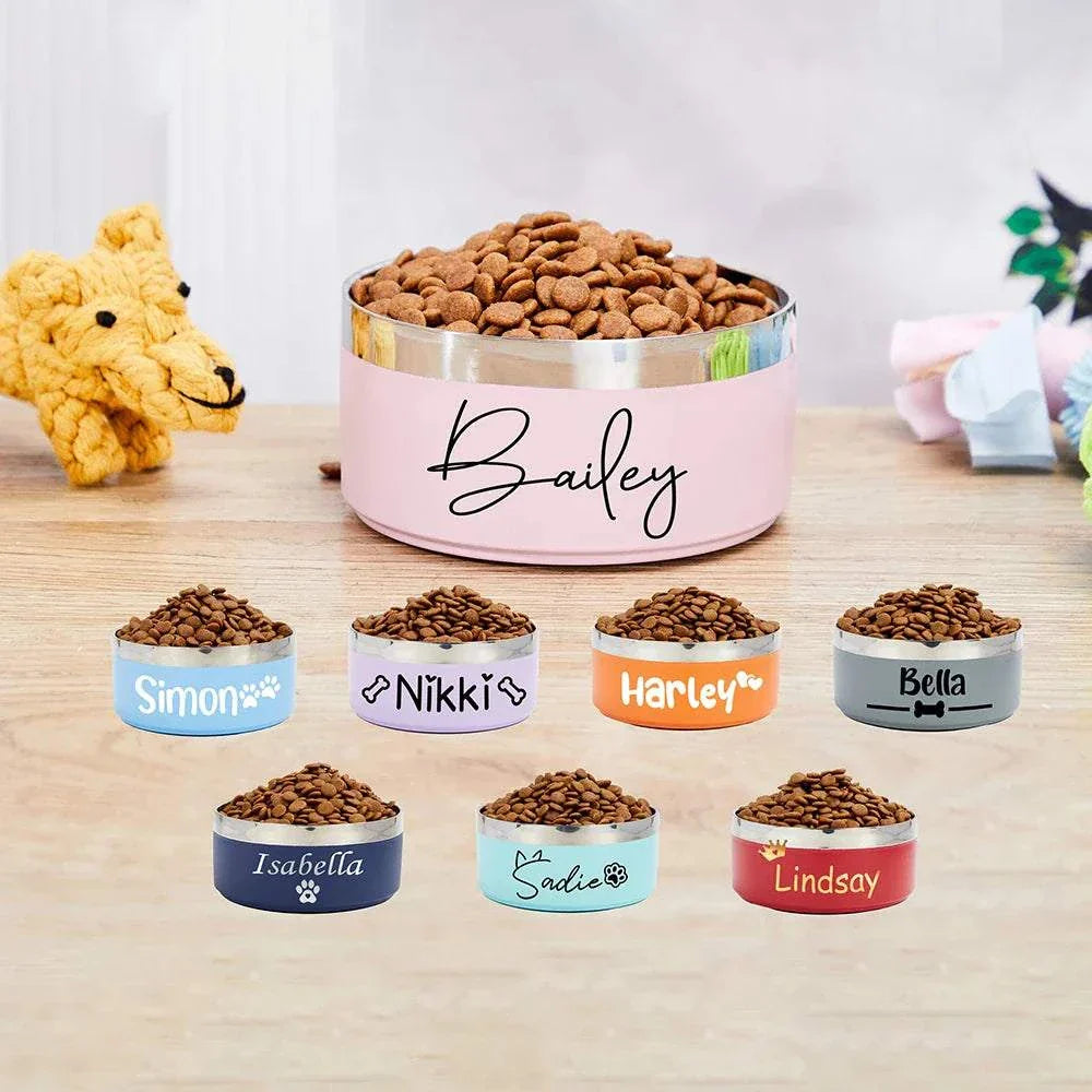 dog bowl examples