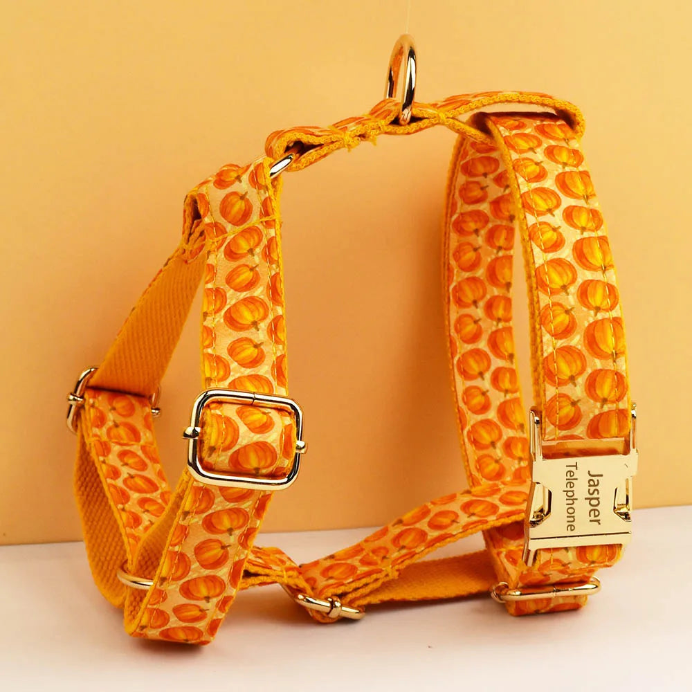 Pumpkin Patch Dog Collar & Harness Set – Premium Engraved 4-Piece Bundle or Individual Options (XS–XL)