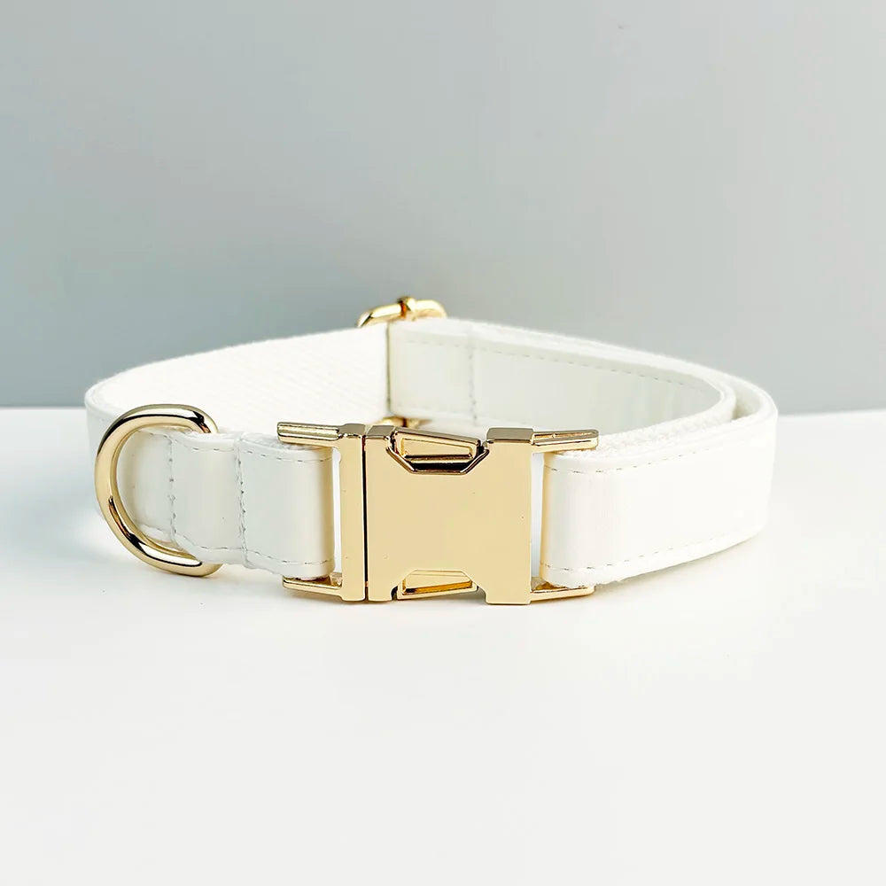 Handmade leather luxury pet collar in white with engravable buckle.