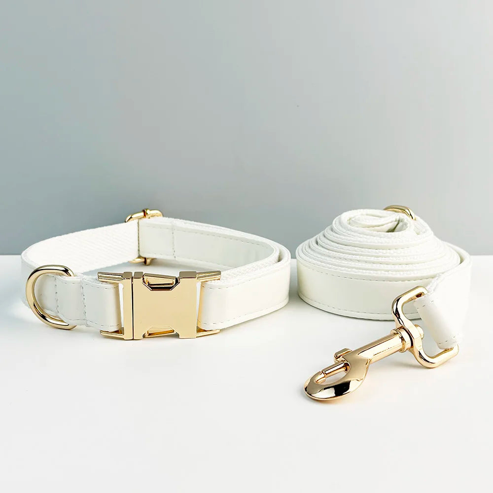 Handmade white leather luxury pet collar with gold hardware, engravable and customizable for added safety.