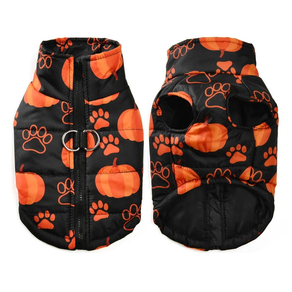 Black pet coat with orange pumpkin and paw print patterns on a white background