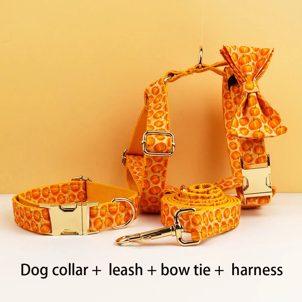 Pumpkin Patch Dog Collar & Harness Set – Premium Engraved 4-Piece Bundle or Individual Options (XS–XL)