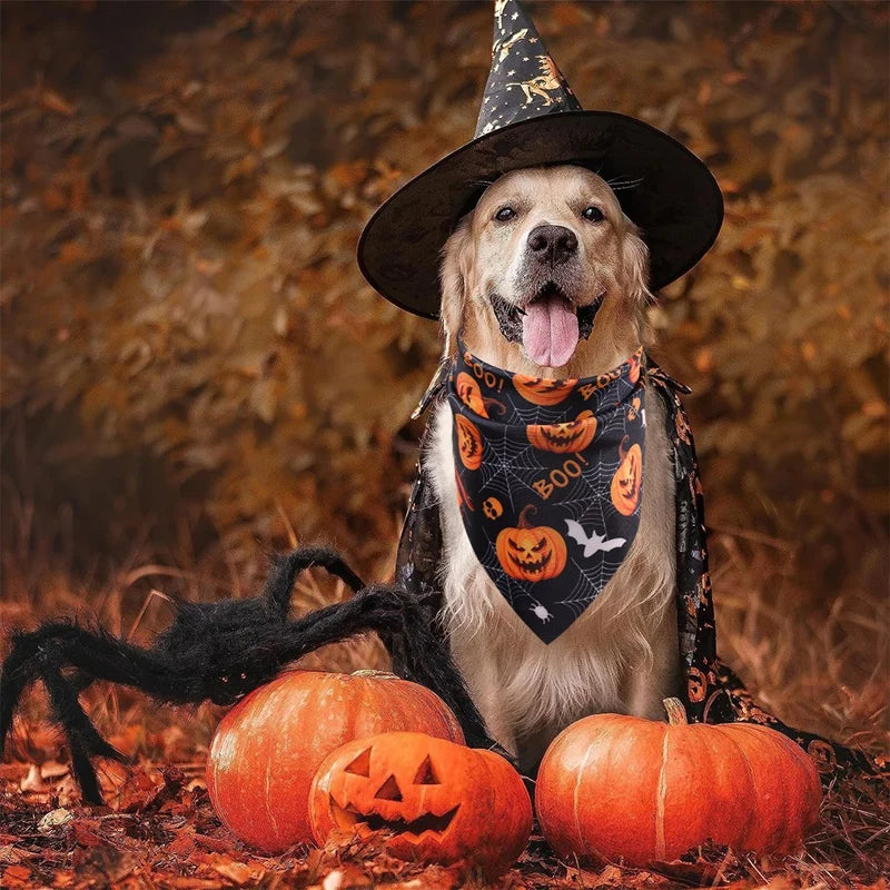 Halloween Dog Bandanas (Set of 2) – Pumpkin & Ghost Designs | Adjustable Pet Scarf for Dogs