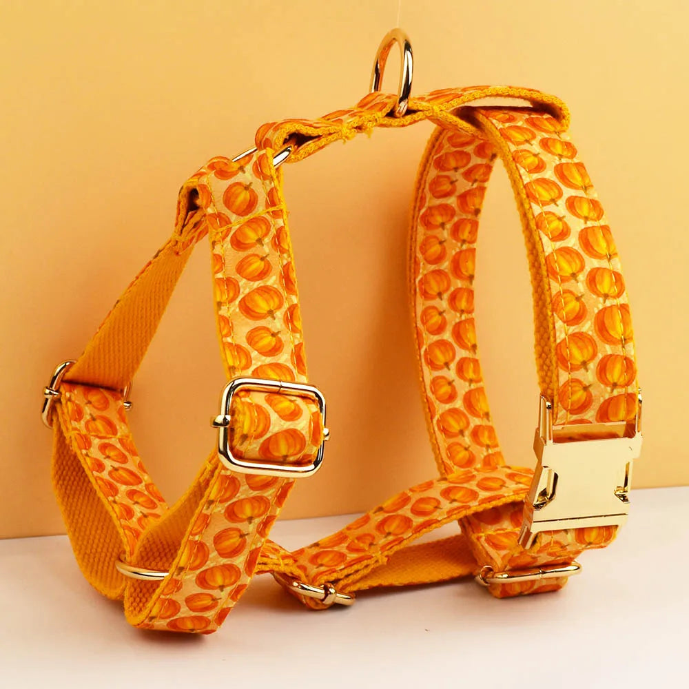 Pumpkin Patch Dog Collar & Harness Set – Premium Engraved 4-Piece Bundle or Individual Options (XS–XL)