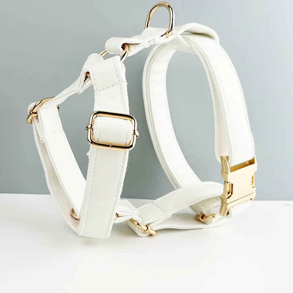 Handmade white leather pet collar with engravable tag and gold hardware.