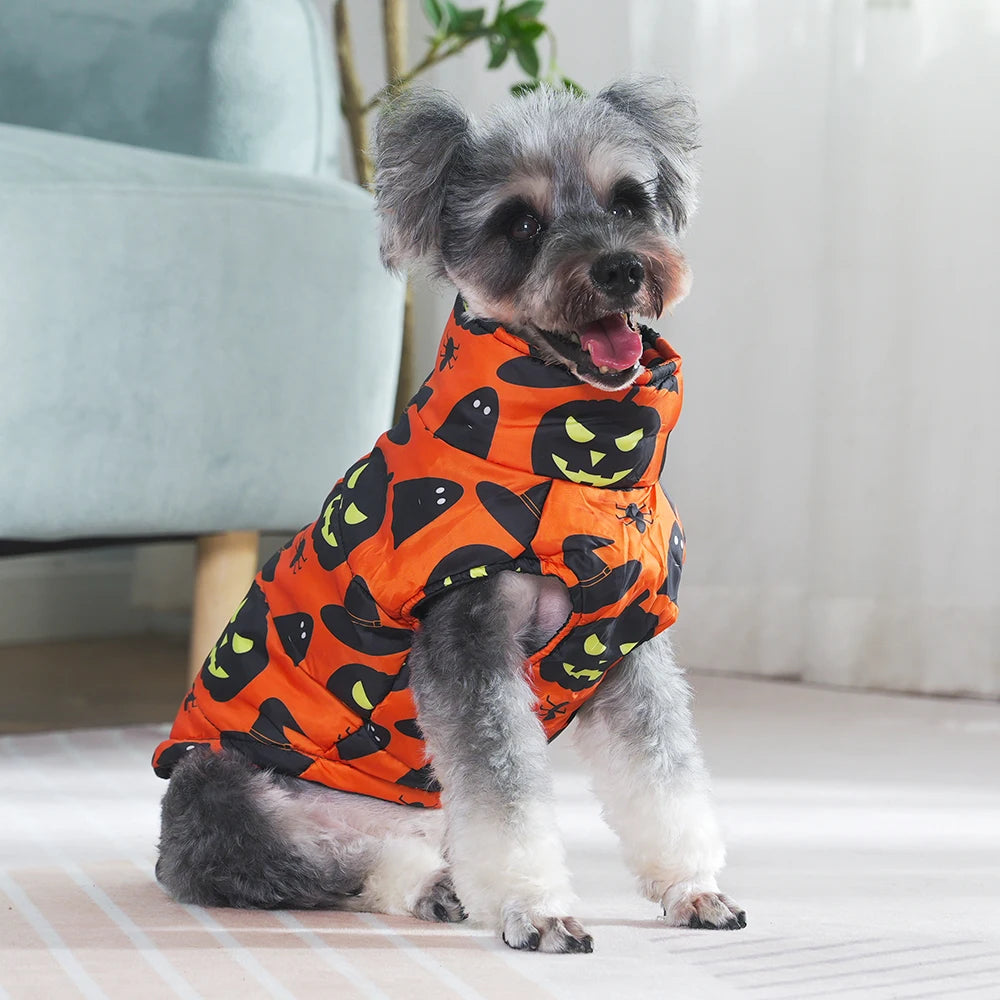 Halloween Dog Coat – Pumpkins, Ghosts & Spooky Designs | 6 Sizes