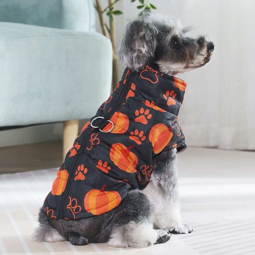 Halloween Dog Coat – Pumpkins, Ghosts & Spooky Designs | 6 Sizes