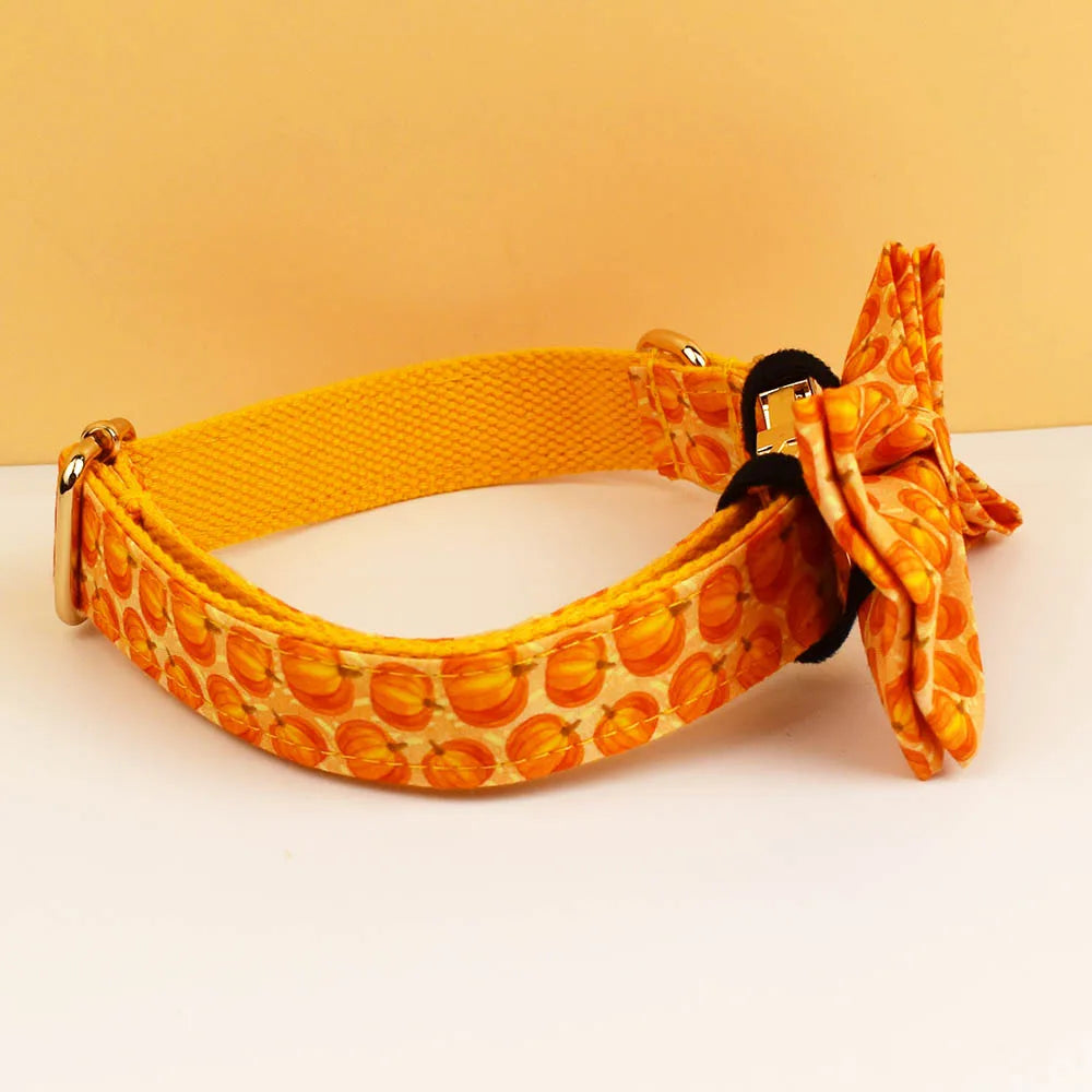 Pumpkin Patch Dog Collar & Harness Set – Premium Engraved 4-Piece Bundle or Individual Options (XS–XL)