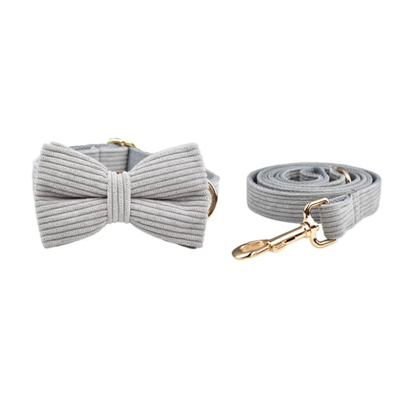 Light grey corduroy pet collar and lead with bowtie and gold hardware.