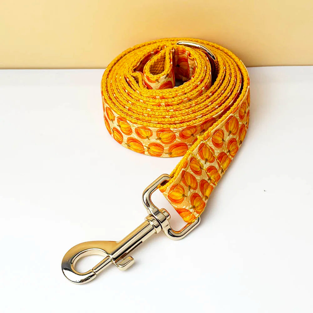 Pumpkin Patch Dog Collar & Harness Set – Premium Engraved 4-Piece Bundle or Individual Options (XS–XL)
