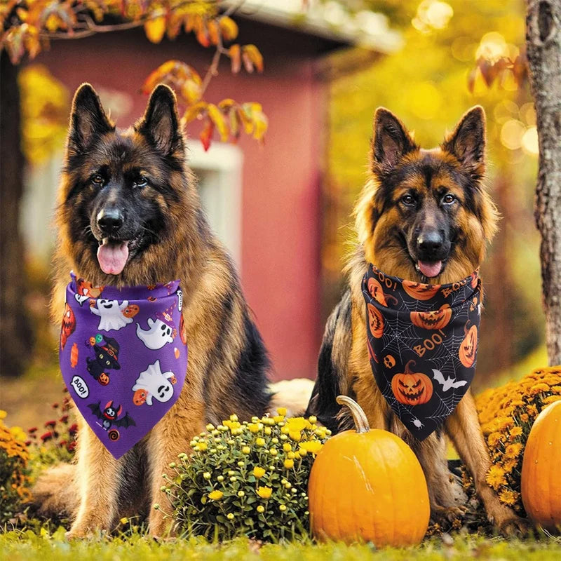 Halloween Dog Bandanas (Set of 2) – Pumpkin & Ghost Designs | Adjustable Pet Scarf for Dogs