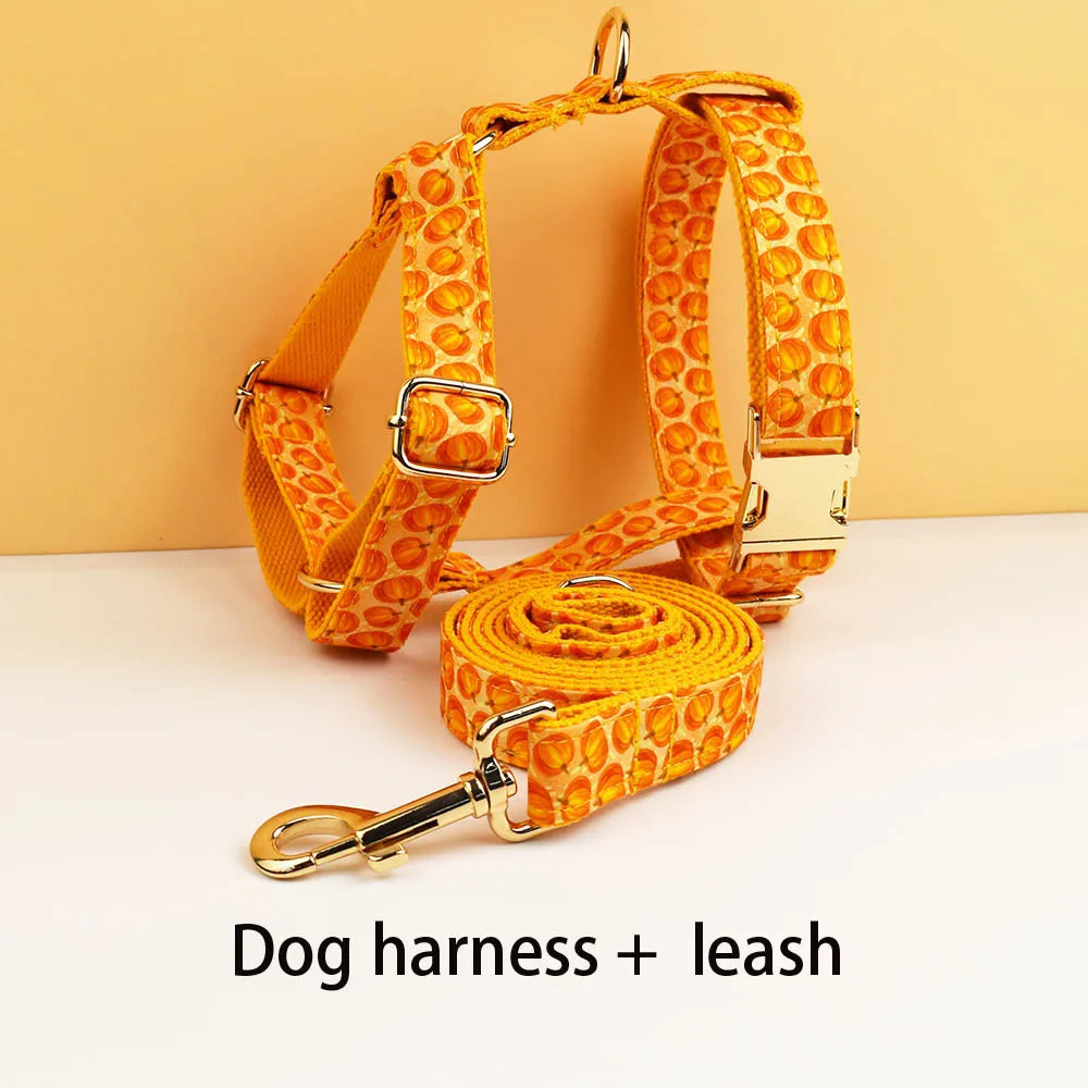 Pumpkin Patch Dog Collar & Harness Set – Premium Engraved 4-Piece Bundle or Individual Options (XS–XL)