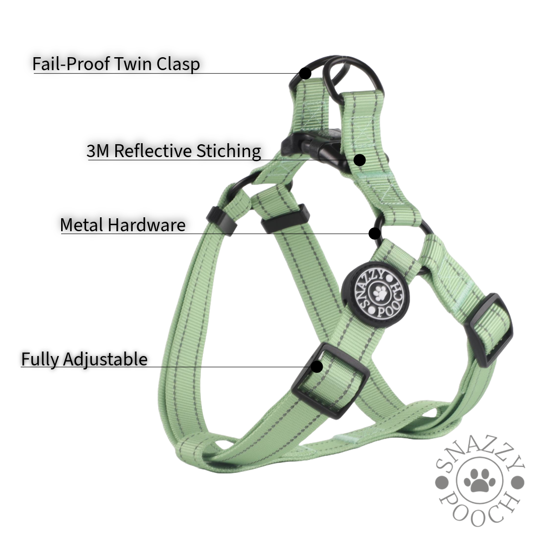 Adjustable peppermint-colored step-in dog harness by Snazzy Pooch, featuring 3M reflective stitching and durable metal hardware.