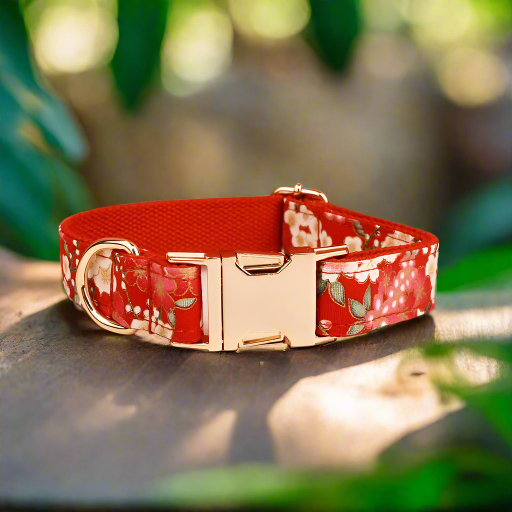 personalised dog collar - cherry blossom