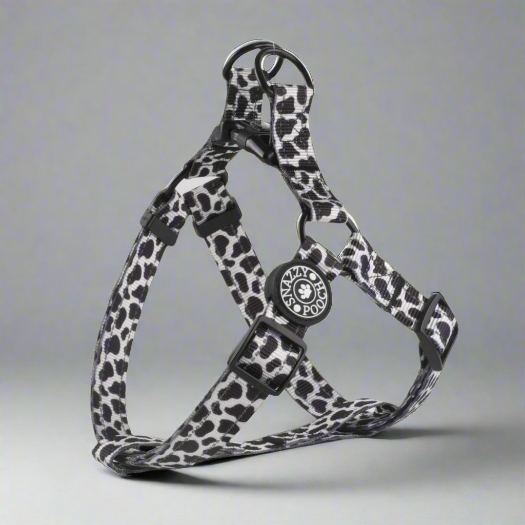 cow print step in dog harness on a grey studio background