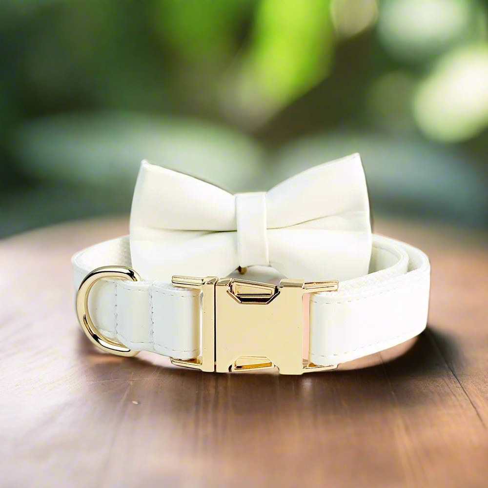 Handmade leather pet collar with gold buckle and detachable white bow tie.