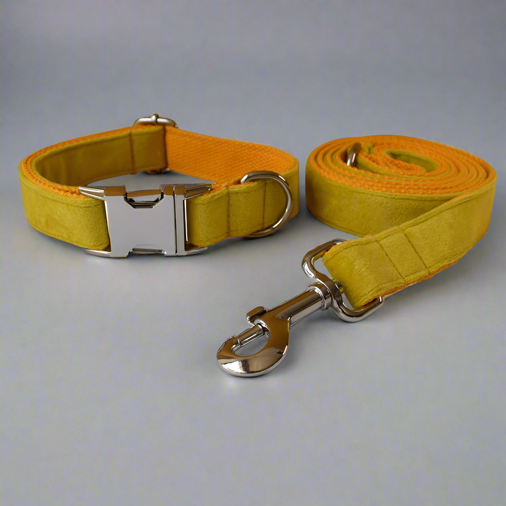 Mustard Velvet Personalised Dog Collar - Custom Engraved Buckle