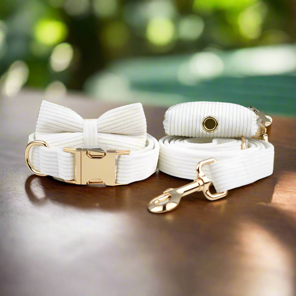 White corduroy dog collar set with gold hardware and bowtie, luxurious pet accessory.