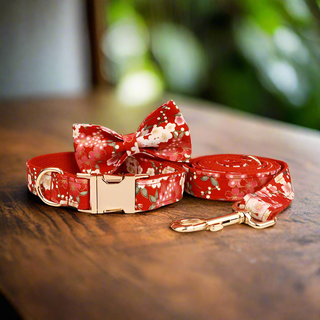 personalised dog collar full set - cherry blossom