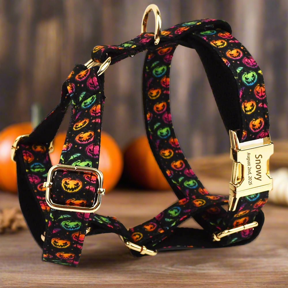 Pumpkin Glow 🎃 Premium Engraved 4-Piece Bundle or Individual Options (XS–XL)
