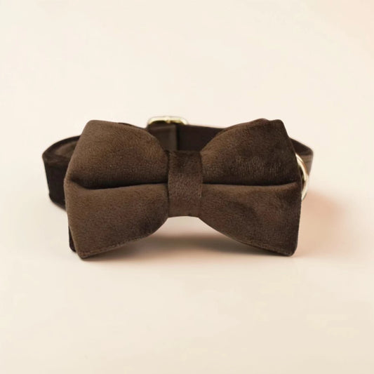 brown velvet dog bow tie