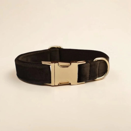 brown velvet dog collar