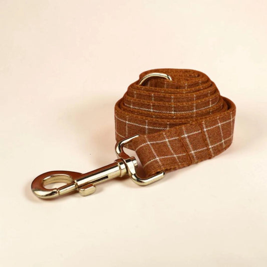 Brown check dog lead with gold metal clip on a beige background