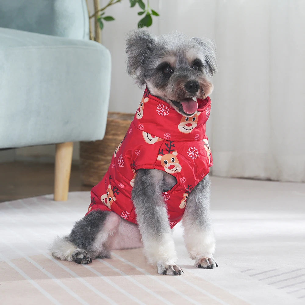 red coat with reindeer pattern on small dog