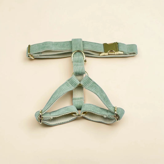 Light green dog harness on a beige background