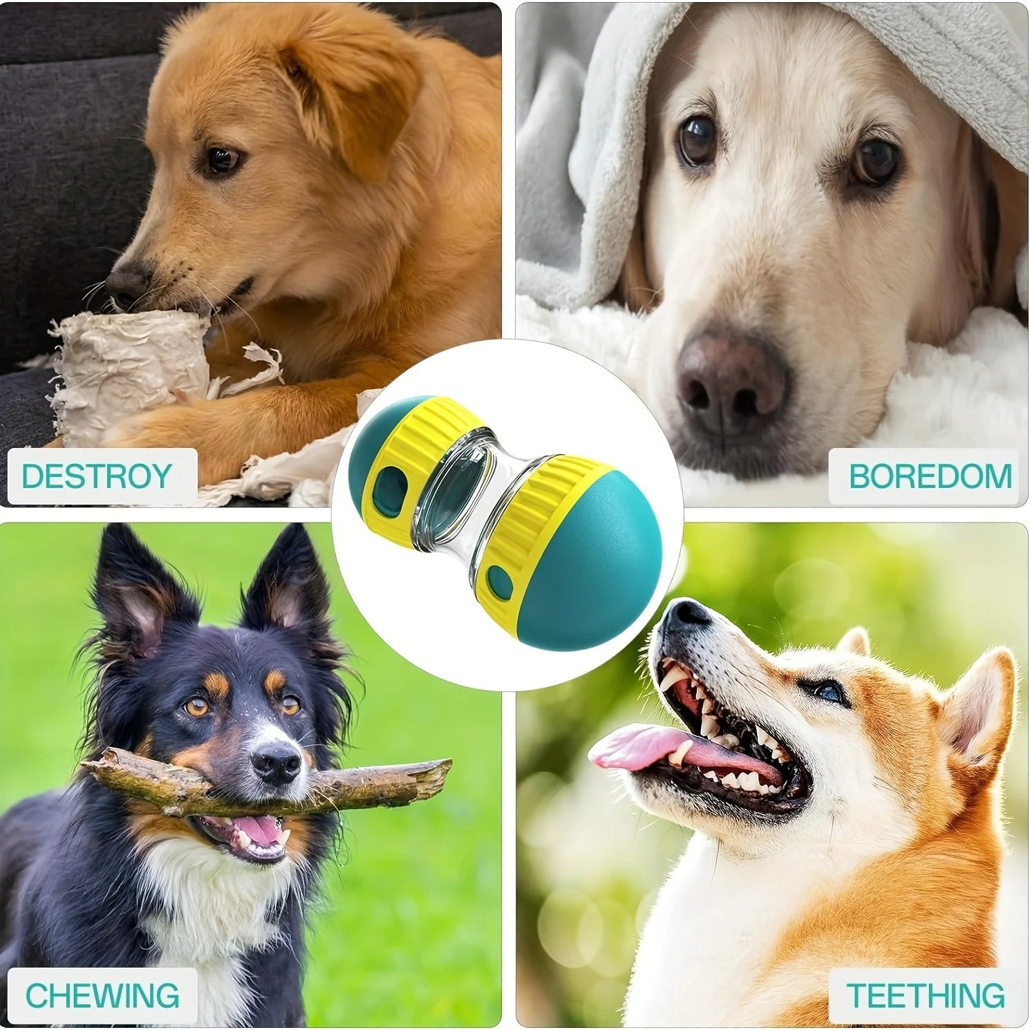Dog toy with text labels for chewing, boredom, and teething next to images of dogs engaging in those activities.