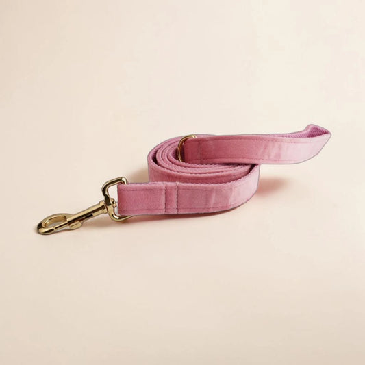Pink dog lead with a gold clip on a beige background