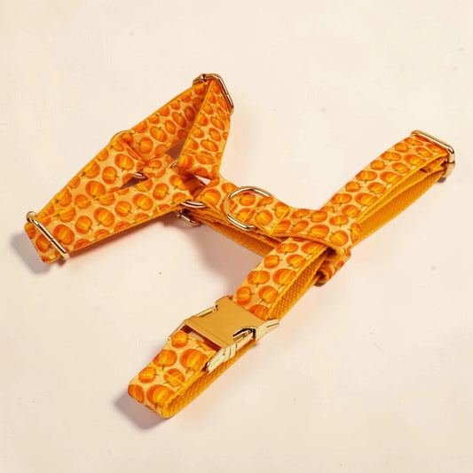 An orange pumpkin Halloween dog harness with gold metal hardware.