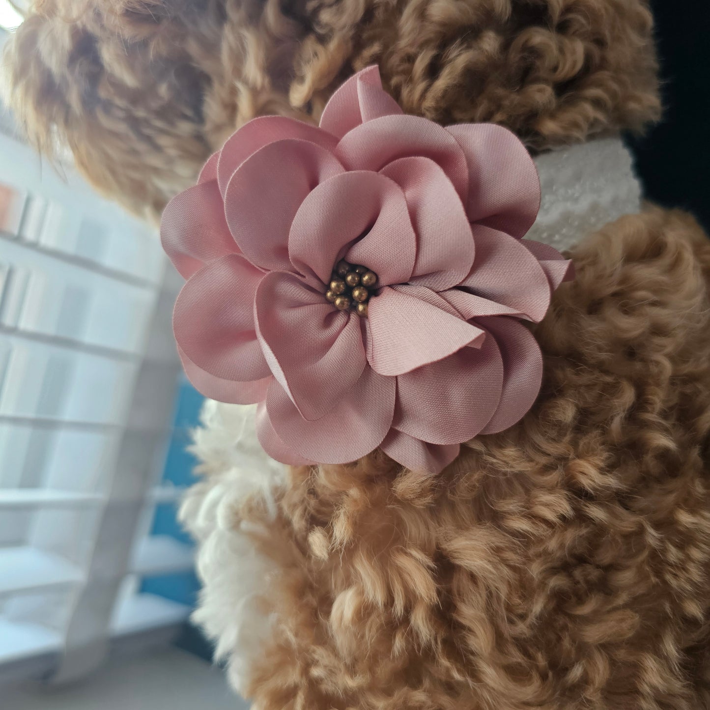 Collar de encaje blanco para perro personalizado con placa de identificación grabada, arnés para boda para mascotas, accesorios para perros, encaje de lujo 03